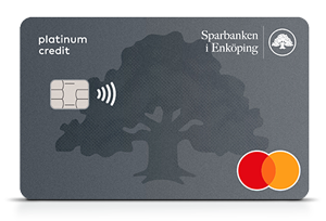 betal-och kreditkort mastercard platinum